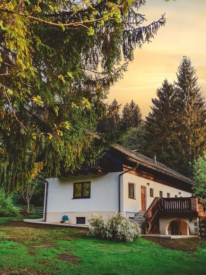 Apartmán Ferienhaus Mooshuben Mariazell Exteriér fotografie